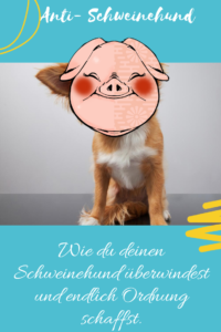 Read more about the article Schweinehund überwinden und Ordnung schaffen